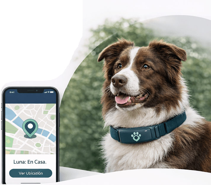 Perro con collar HuellaGo